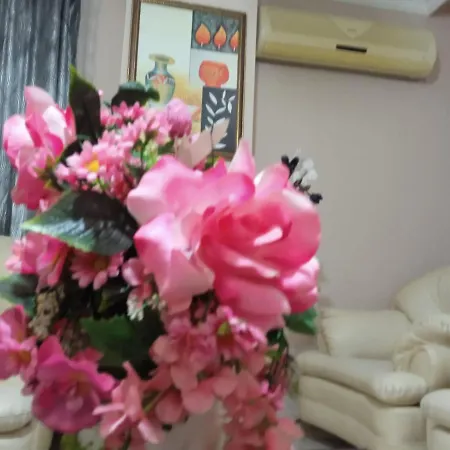 Kpz Homestay Sleeping Homestay *