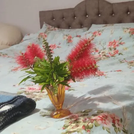 Kpz Homestay Sleeping Homestay *